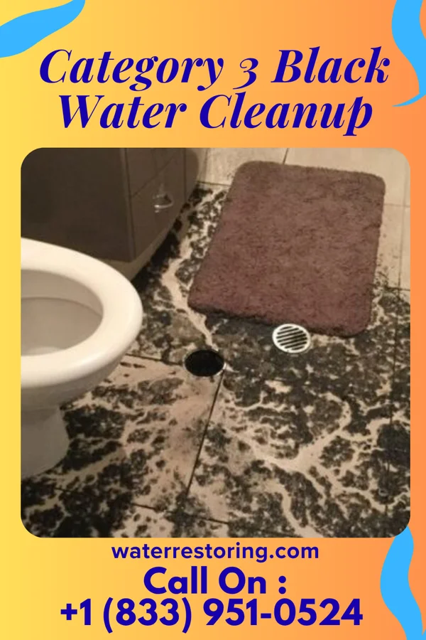 Category 3 Black Water Cleanup in Geneva, MN