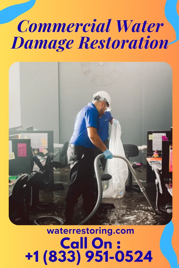 Commercial Water Damage Restoration in Geneva, MN